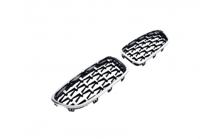 Решетка радиатора BMW 5 (F10)