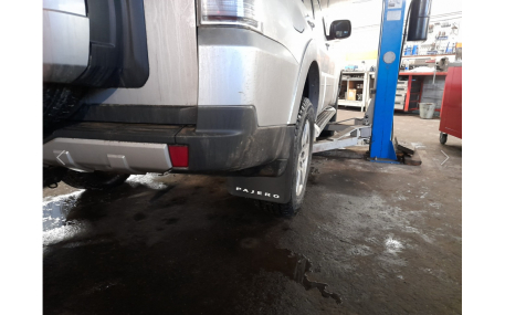Брызговики Mitsubishi Pajero Wagon 4