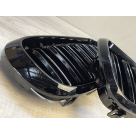 Решетка радиатора BMW X5 (F15)