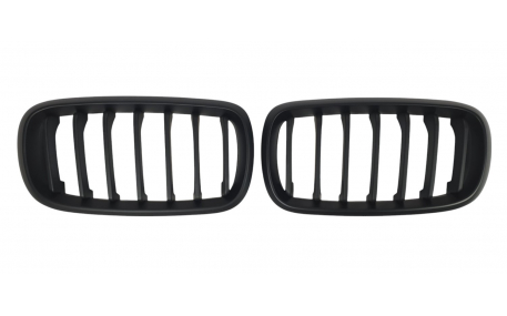 Решетка радиатора BMW X5 (F15)