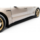 Пороги Porsche Taycan
