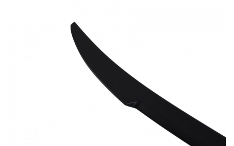 Спойлер BMW 5 G30