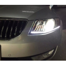 Фары передние Skoda Octavia A7 2013-2017