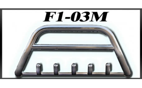 Защита передняя Renault Kangoo