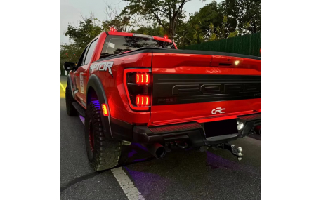 Фонари задние Ford F150