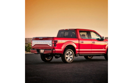 Фонари задние Ford F150