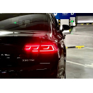 Фонари задние Volkswagen Passat B7