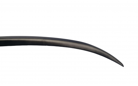 Спойлер BMW 5 (F10)