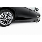 Пороги Skoda Superb