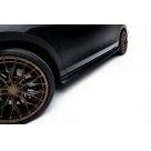 Пороги Skoda Superb