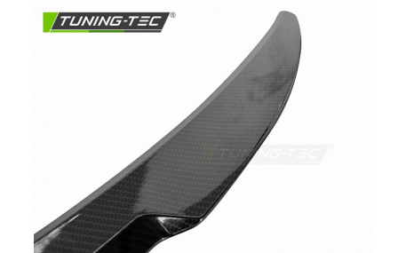 Спойлер BMW 5 G30