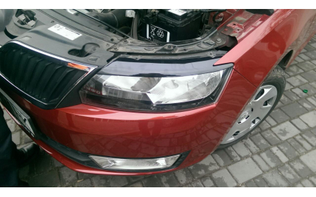 Ресницы Skoda Rapid