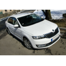 Ресницы Skoda Rapid