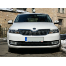 Ресницы Skoda Rapid