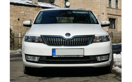 Ресницы Skoda Rapid