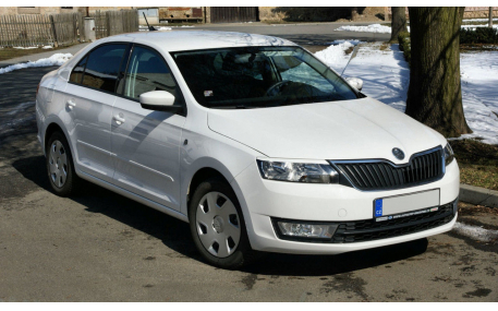 Ресницы Skoda Rapid