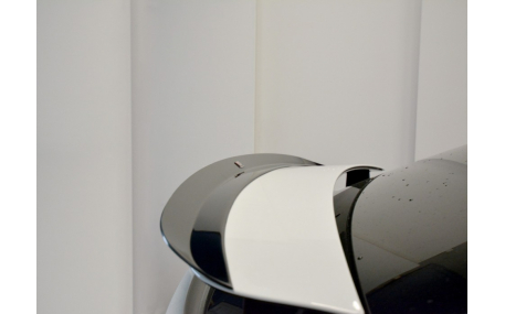 Спойлер Tesla Model X 2015-2021