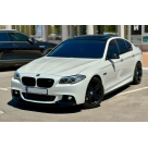 Пороги BMW 5 F10