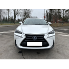 Решетка радиатора Lexus NX 2014-2017