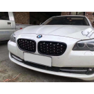 Решетка радиатора BMW 5 (F10)