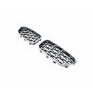 Решетка радиатора BMW 5 (F10)