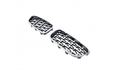 Решетка радиатора BMW 5 (F10)