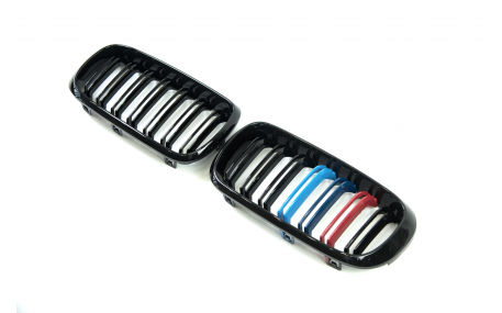 Решетка радиатора BMW X5 (F15)