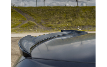 Спойлер BMW 5 (F10)