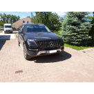 Решетка радиатора Mercedes ML-class W166