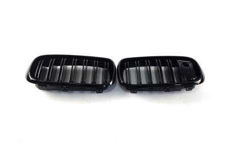 Решетка радиатора BMW X5 (F15)