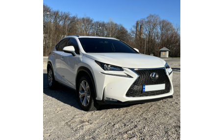 Решетка радиатора Lexus NX 2014-2017