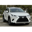 Решетка радиатора Lexus NX 2018-2021