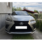 Решетка радиатора Lexus NX 2018-2021