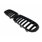 Решетка радиатора BMW X5 (F15)