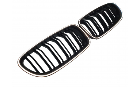 Решетка радиатора BMW 5 (F10)