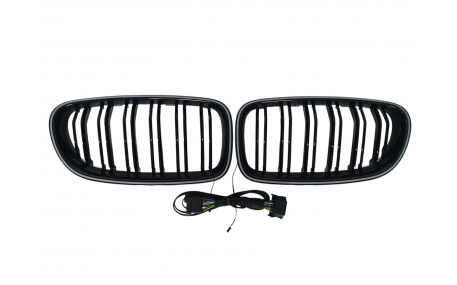 Решетка радиатора BMW 5 (F10)