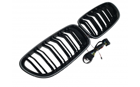 Решетка радиатора BMW 5 (F10)