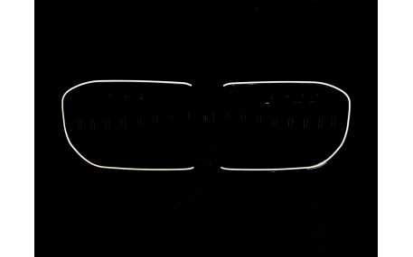 Решетка радиатора BMW 7 (G11) 2019-2022
