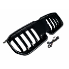 Решетка радиатора BMW X1 U11