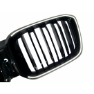 Решетка радиатора BMW X3 G01 2022-2024