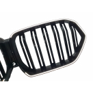 Решетка радиатора BMW X6 G06 2020-2023