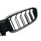 Решетка радиатора BMW 5 G30 2016-2020