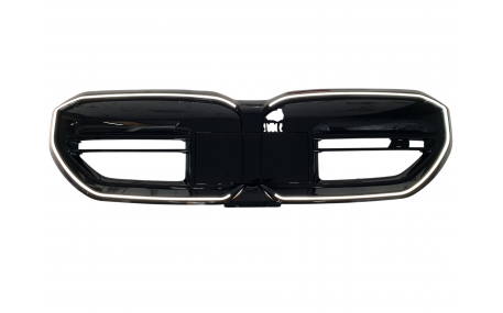 Решетка радиатора BMW 5 (G60)