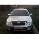 Дефлектор капота Skoda Octavia A5