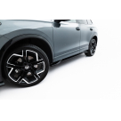 Пороги Volkswagen Tiguan