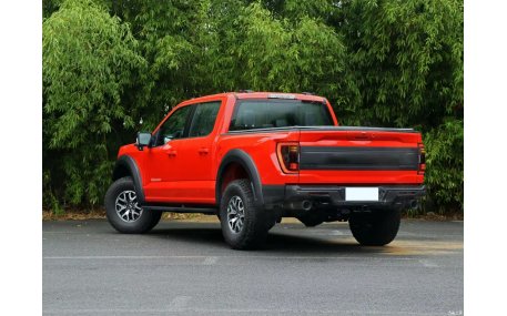 Фонари задние Ford F150