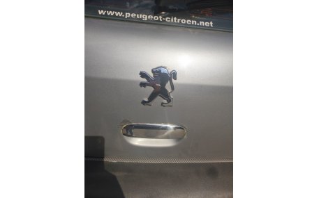 Хром накладки Peugeot 307