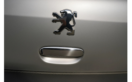 Хром накладки Peugeot 307