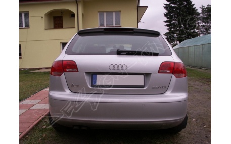 Спойлер Audi A3 8P
