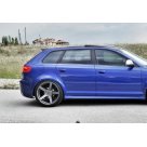 Спойлер Audi A3 8P